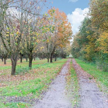 Captivating Holiday Home In Zeewolde Near Forest 외부 사진